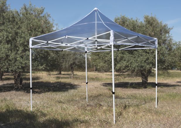 Carpa 3x3 Master Transparente - Referente entre las Carpas Plegables