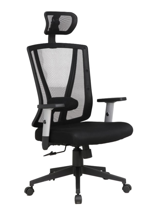 Silla Lervi